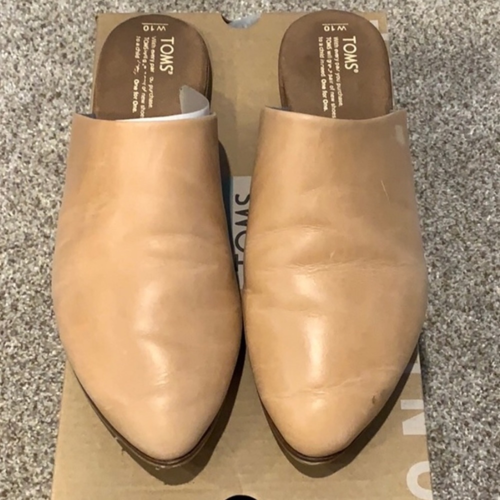 Toms Jutti mule